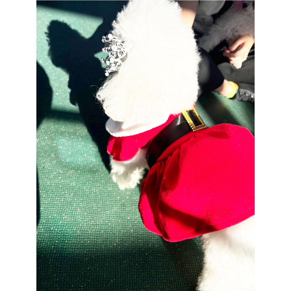 クリスマスイブ♪